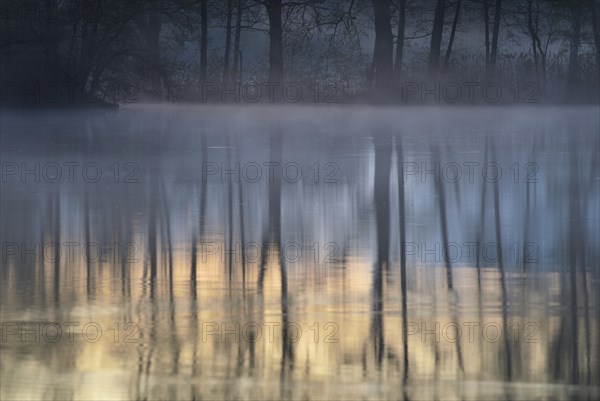 Haze over a lake with reflection of trees