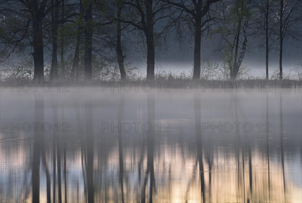 Haze over a lake with reflection of trees