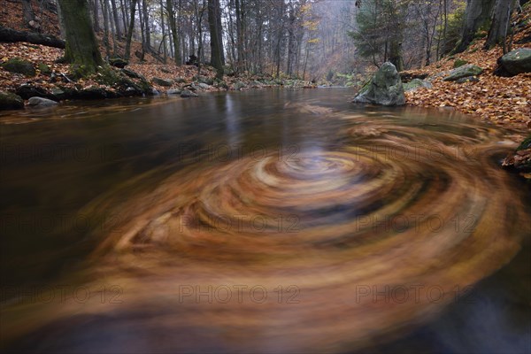 Vortex of leaves in the mountain creek Ilse