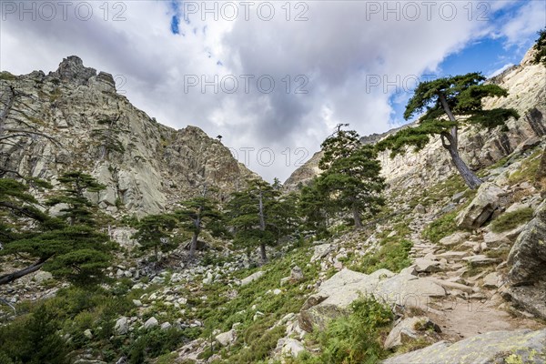 Mountainous landscape in Golo Valley