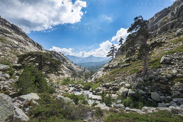 Mountainous landscape in Golo Valley