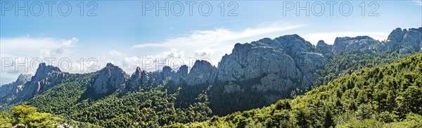 Mountain range with rocky peaks surrounded by pine forest