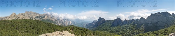 Mountain range with rocky peaks surrounded by pine forest