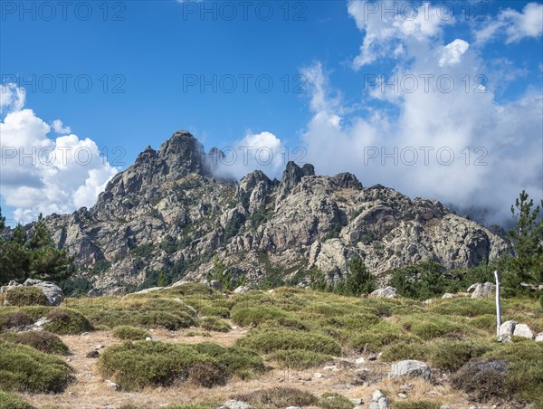 Rugged cliffs