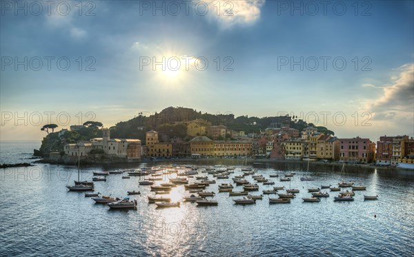 View of harbour in Baia del Silenzio