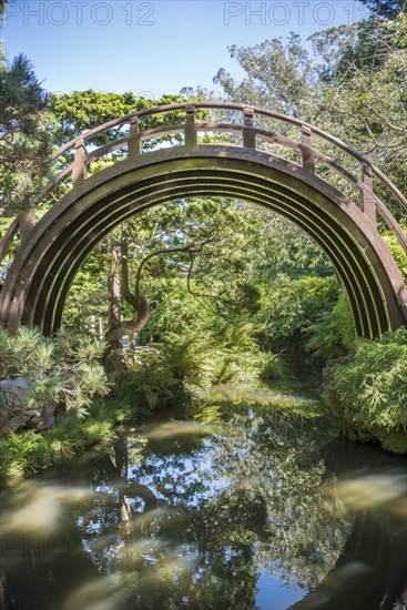 Wooden curved bridge