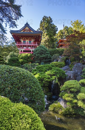 Japanese Tea Garden