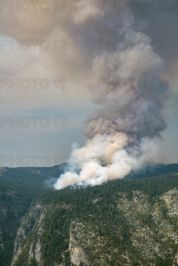 Smoke cloud of a forest fire