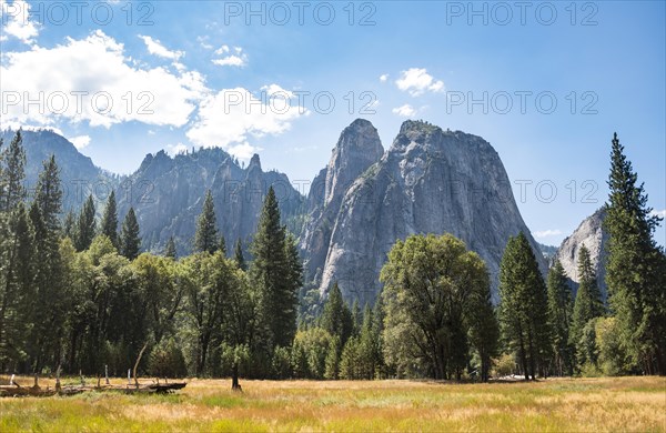 Marshlands in Yosemite Valley
