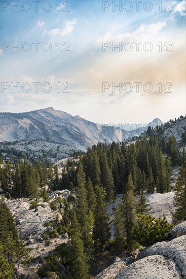 View towards High Sierra