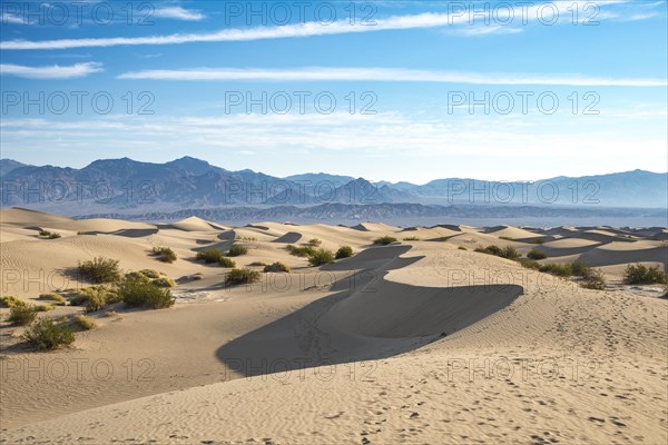 Mesquite Flat Sand Dunes