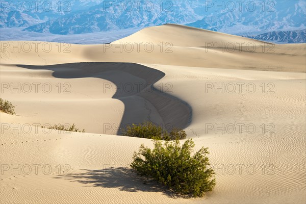 Sand dune