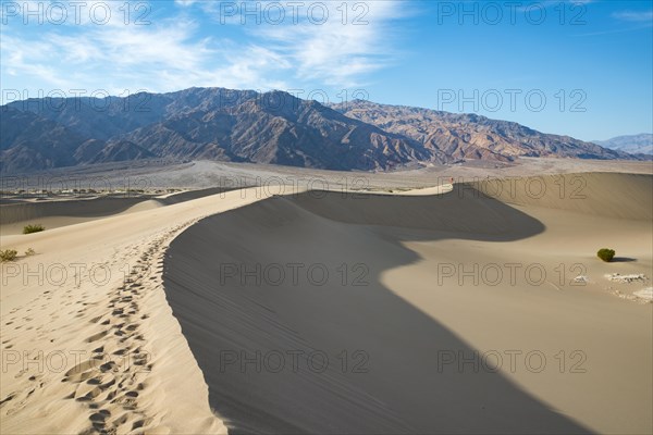 Mesquite Flat Sand Dunes