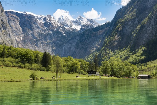 View of the Salet-Alm with Obersee