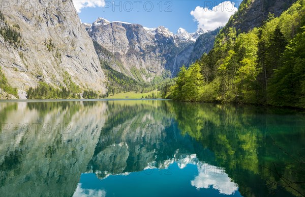 Obersee