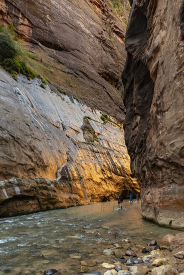 The Narrows