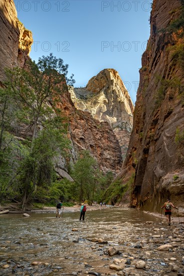 The Narrows