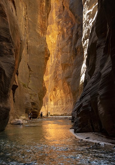 Hikers in the river