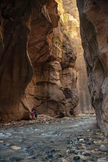 The Narrows