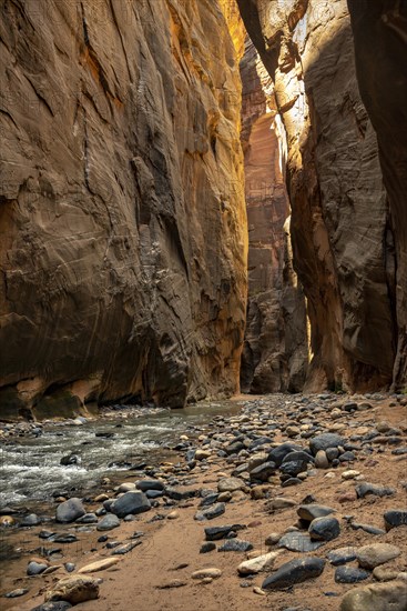 The Narrows