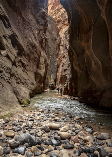 The Narrows