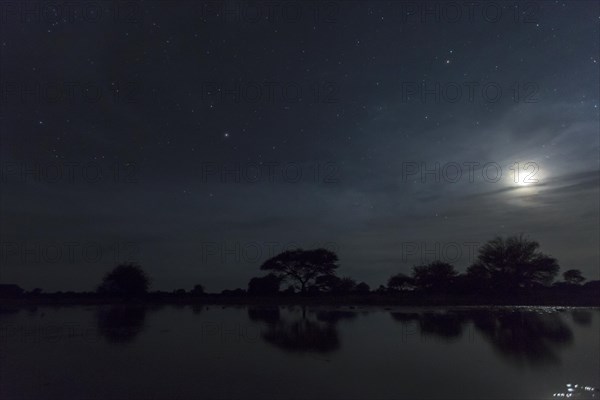 Waterhole at night