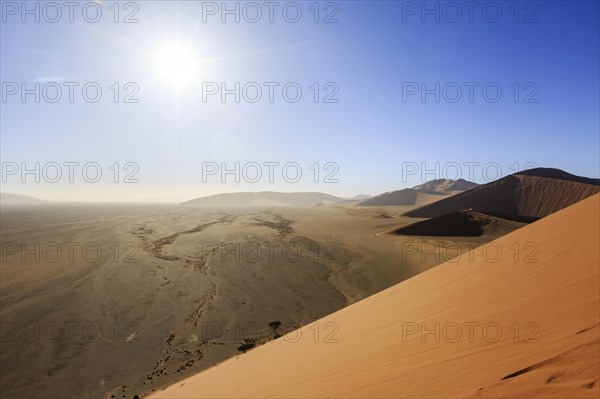 View from Dune 45 to Tsauchab Valley