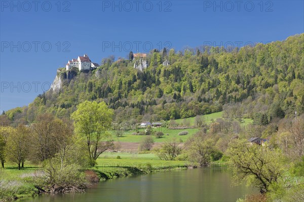 Werenwag Castle in spring