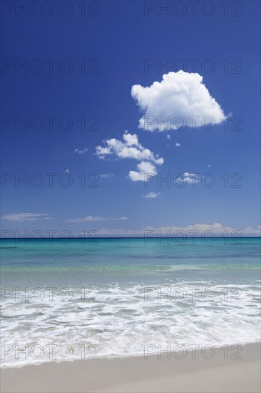 Beach with turquoise water