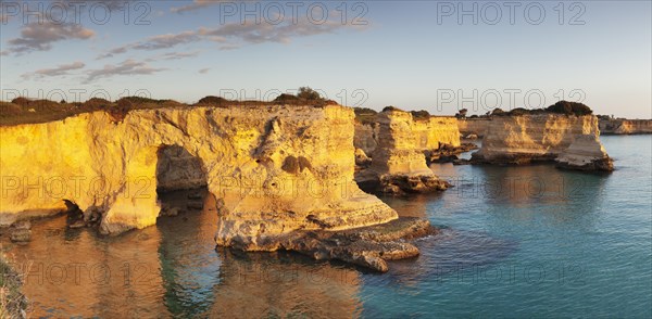 Rugged cliffs