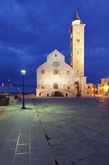 Cathedral San Nicola Pellegrino