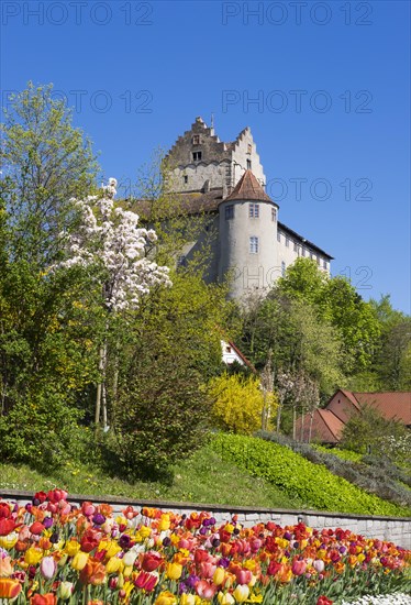 Meersburg castle in spring