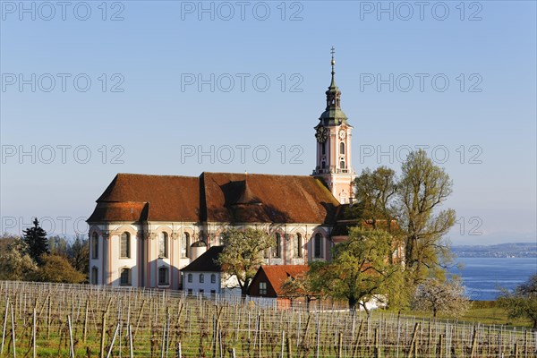 Pilgrimage church Birnau with vineyard and Lake Constance