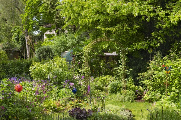 Small garden in an estate of terraced houses