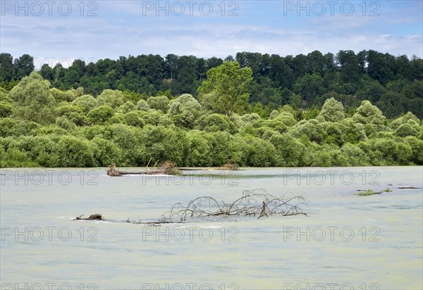 Isar with floods