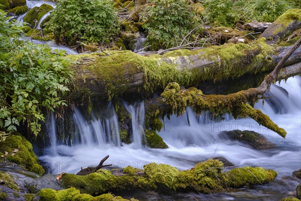 Mountain stream in Ravnjak near Bistrica