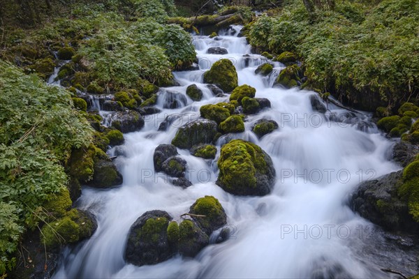 Mountain stream in Ravnjak near Bistrica