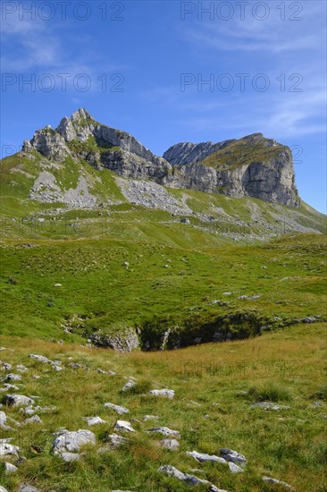 Sedlo Mountain