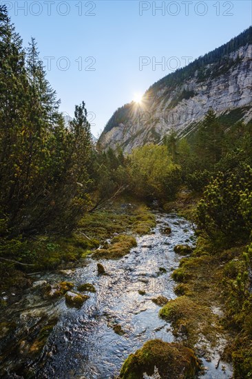 Isar spring