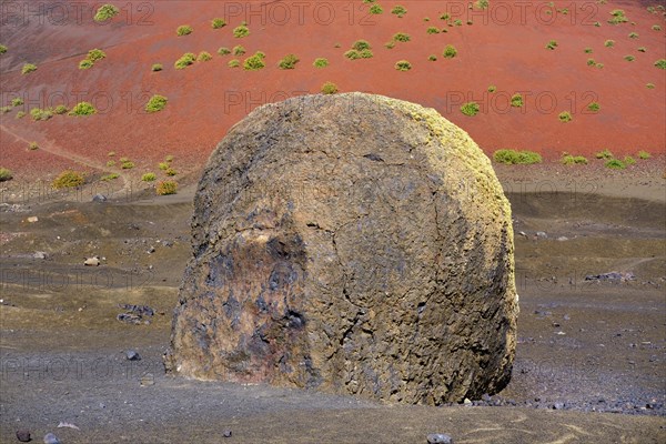 Lava bomb in front of Caldera Colorada