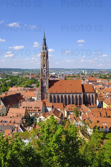 St. Martin's Church and old town