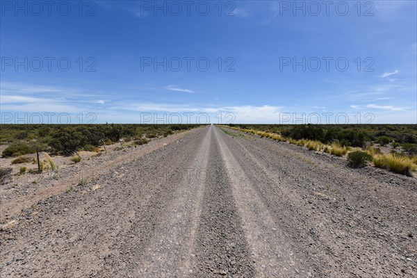 Long straight gravel road through the Pampa to the horizon