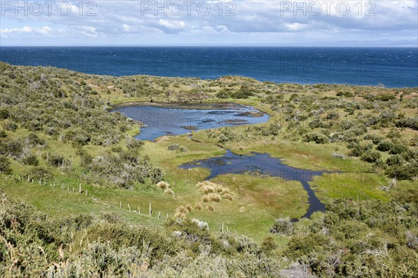 Coast of the Strait of Magellan between Porvinier and Punta Arenas