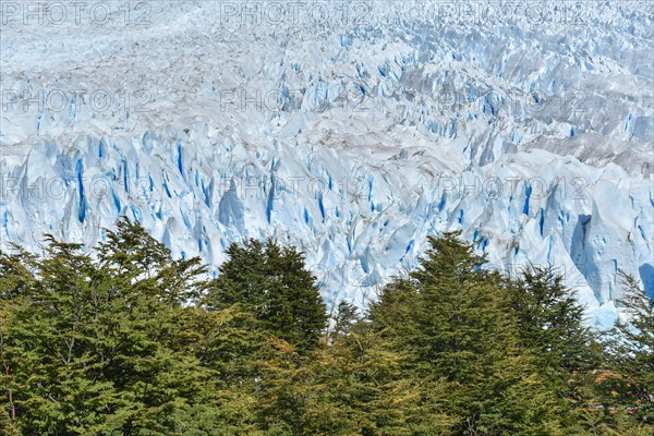 Glaciar Perito Moreno