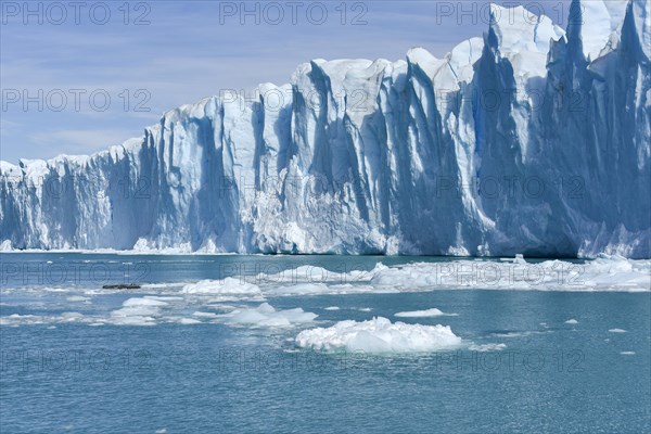 Glacier tongue