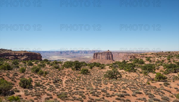 Canyon Landscape
