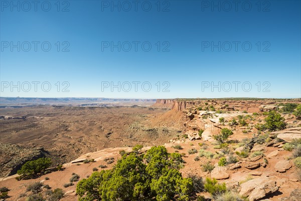 Canyon Landscape