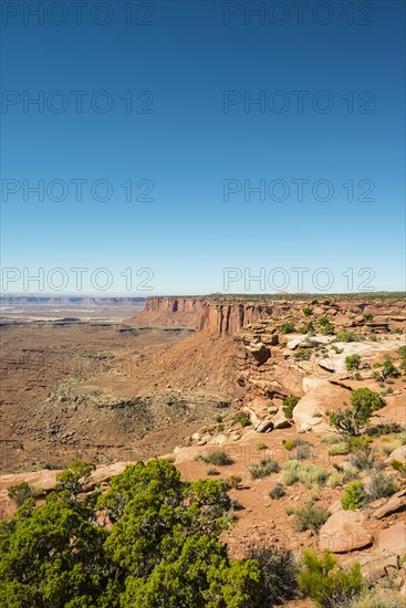 Canyon Landscape