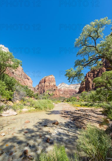 View of rock formation Angels Landing