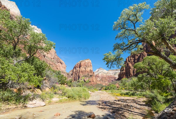 View of rock formation Angels Landing